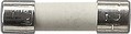 Sicherung T2 H 250 V 049806 