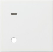 Abdeckung f. Zugtaster rw gl 023303 