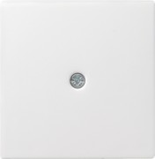 Zentralpl.Schnurabl. rws System55 027427 