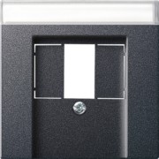 Zentralplatte TAE anth m.Schriftf.,System55 087628 