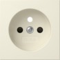 morepic-1