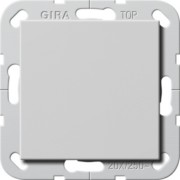 Wippschalter BS 20 AX aus 2-p Syst.55 Grau 2836015 