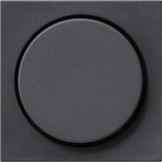 Dimmer-Abdeckung anth System55 065028 