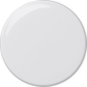 Dimmerknopf rws 091003 