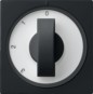 morepic-1