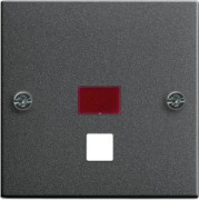 Zentralplatte Zugtast. ant System55 063828 
