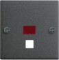 morepic-1