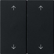Wippe 2-fach Schwarz 5387005 