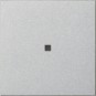 morepic-1