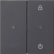 Funk-Bedienaufsatz Memory anthrazit 549328 