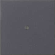 Funk-Bedienaufsatz Anthrazit 549528 