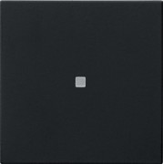 Funk-Bedienaufsatz Schwarz 5495005 
