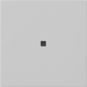Funk-Bedienaufsatz Grau 5495015 
