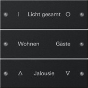 Wippenset 3-fach beschr. System 55 sw 2203005 