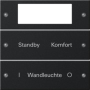 Wippenset 2-fach beschr. Sys 55 sw 2212005 