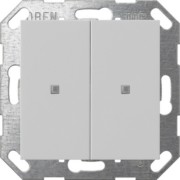 Taster Wippe KNX, 2f, Grau 5173015 