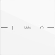 Wippenset 1-fach indiv. Tastsensor Reinweiß 576103 
