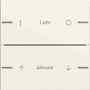 Wippenset 2-fach indiv. Tastsensor Cremeweiß 576201 