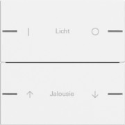 Wippenset 2-fach indiv. Tastsensor Reinweiß 576227 