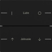 Wippenset 2-fach indiv. Tastsensor Schwarz 5762005 