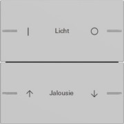 Wippenset 2-fach indiv. Tastsensor Grau 5762015 