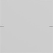 Wippenset 1-fach Tastsens TS4 Grau 5021915 