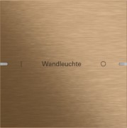 Wippenset 1-fach Tastsens TS4 Bronze 503138 