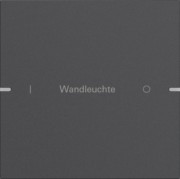 Wippenset 1-fach Tastsens TS4 Anthr 5031928 