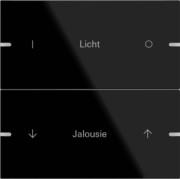 Wippenset 2-fach Tastsens.4 TS4 G sw 503205 