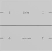 Wippenset 2-fach Tastsens.4 TS4 Grau 5032915 