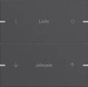 Wippenset 2-fach Tastsens.4 TS4 Anthr 5032928 