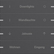 Wippenset 4-fach Tastsens.4 TS4 Anthr 5034928 