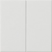 Bedienaufsatz 2fach rws 536203 