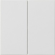 Bedienaufsatz 2fach rws 536227 