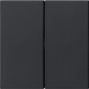 Bedienaufsatz 2fach sw 5362005 
