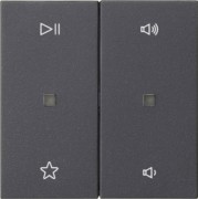 Wippe 2f Audiostrg Anthrazit 538428 