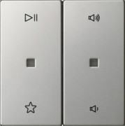 Wippe 2f Audiostrg Edelstahl 5384600 