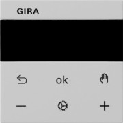 Raumtemperaturregler-Displ grau 5393015 