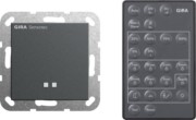 Sensotec + Fernbedienung System 55 Anthrazit 236628 