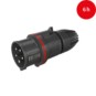 morepic-6
