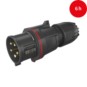 morepic-6