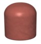 morepic-1