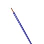 morepic-1