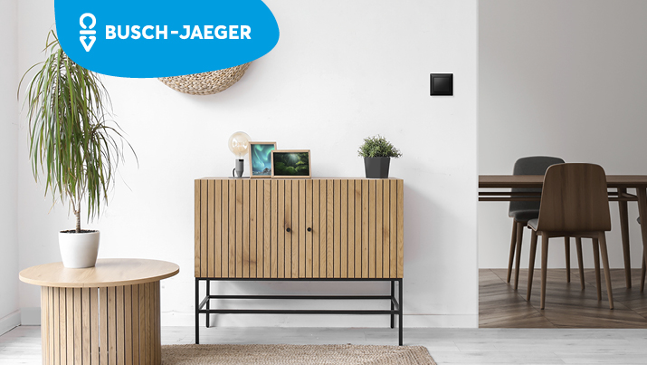 Ein Raum mit Kommode an der Wand, einer Topfpflanze auf dem Boden, Stühlen im Hintergrund und an der Wand ein Schalter des Herstellers Busch-Jaeger