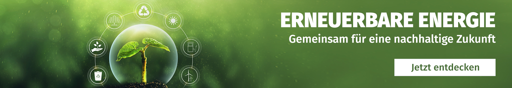 Pflanze mit verschiedenen Icons zum Thema Erneuerbare Energie