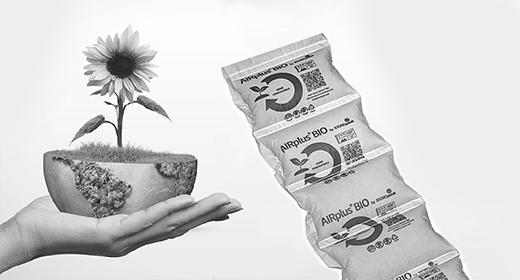 Schwarz-weiß-Bild zum Thema Nachhaltige Verpackung mit einer halben Erdkugel aus der eine Sonnenblume wächst auf einer geöffneten Hand.