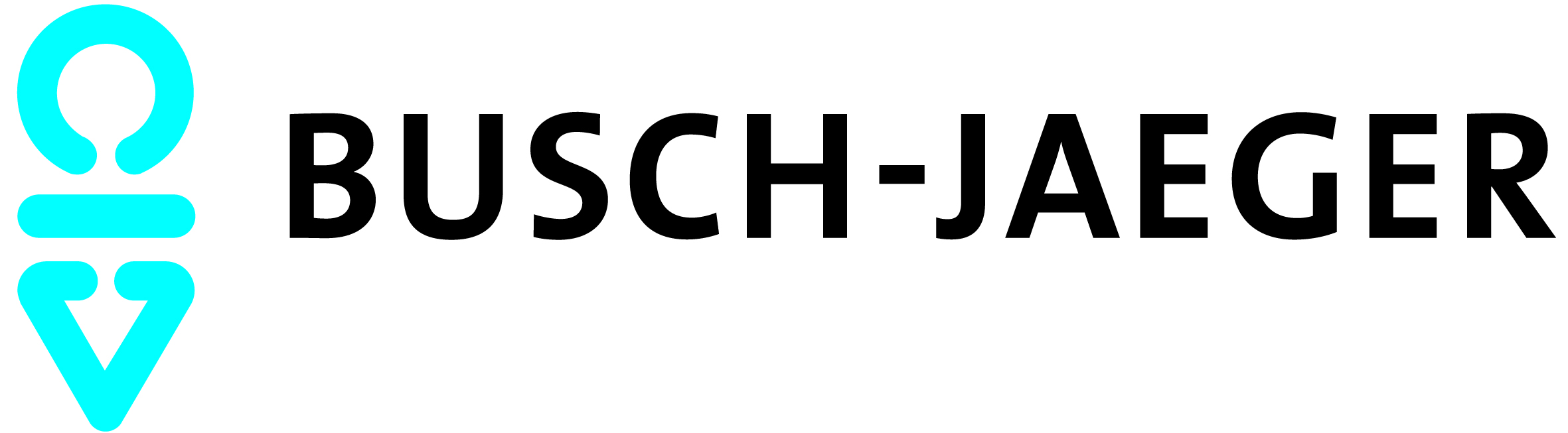 Logo von Busch-Jaeger
