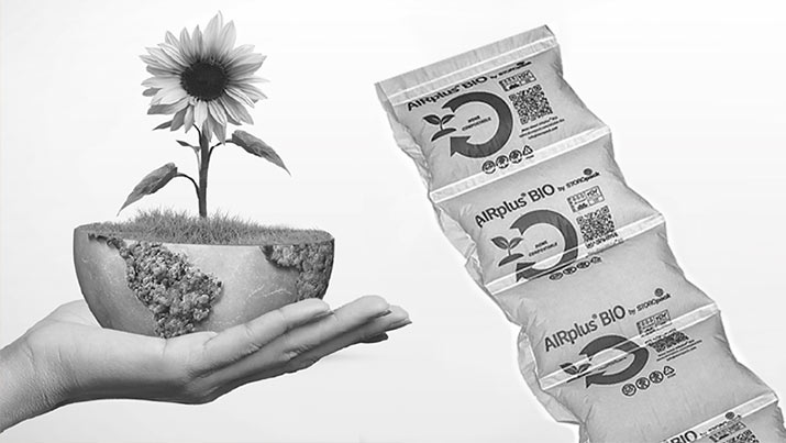 Schwarz-weiß-Bild zum Thema Nachhaltige Verpackung mit einer halben Erdkugel aus der eine Sonnenblume wächst auf einer geöffneten Hand.