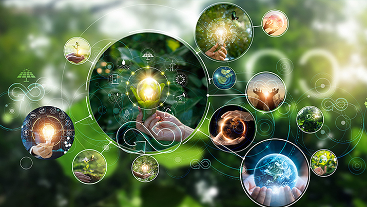 Pflanze mit verschiedenen Icons zum Thema Erneuerbare Energie